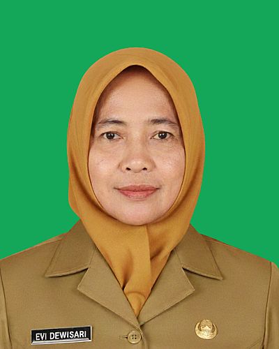 Foto Ir. Hj. Evi Dewisari